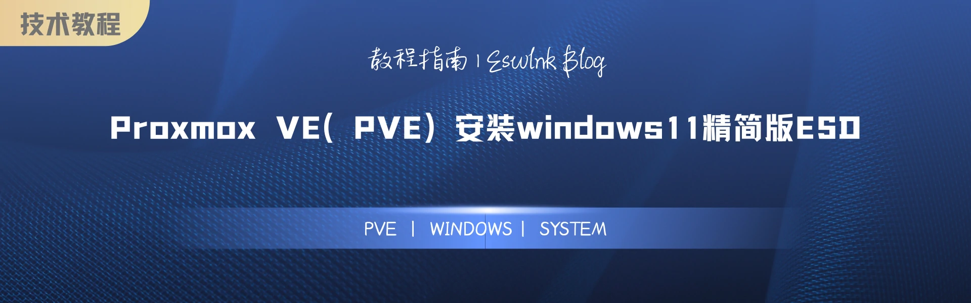 「技术教程」Proxmox VE（PVE）安装windows11精简版ESD插图1